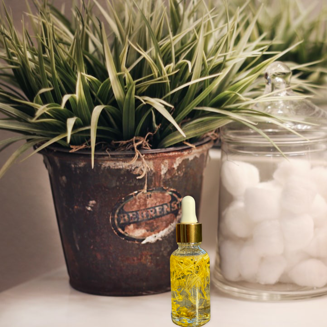 Chrysanthemum Body Oil